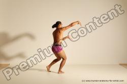 Elmer - Traditional Korean Art